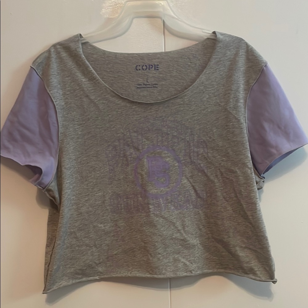 Gray and Purple Women's Crop Top